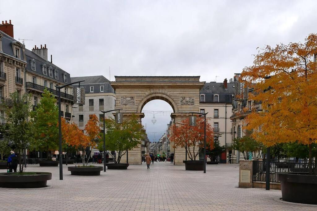 Dijon - Grand Studio Proche Parc Darcy & Gare 外观 照片