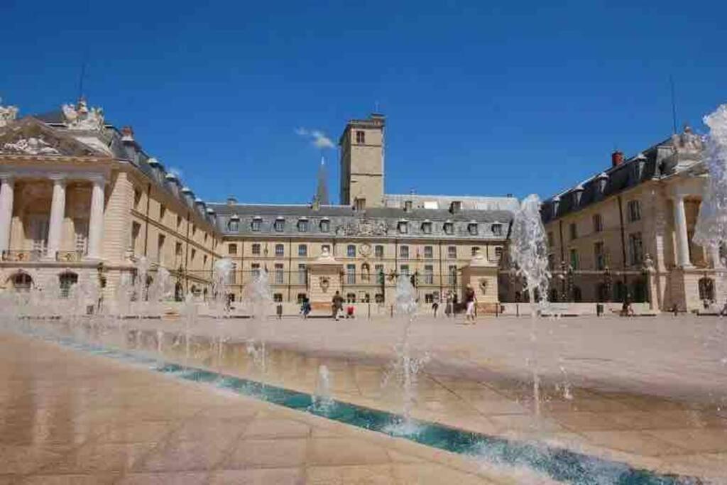 Dijon - Grand Studio Proche Parc Darcy & Gare 外观 照片